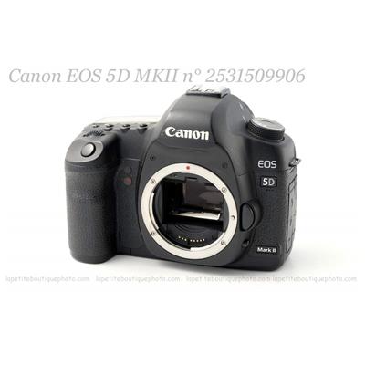 Canon 5D MKII (occasion)
